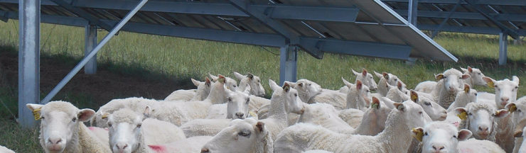 Will the growth of solar power crowd out farmland?