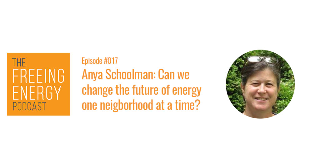 Podcast #017: Anya Schoolman and Solar United Neighbors: Can we change the future of energy at the community level?
