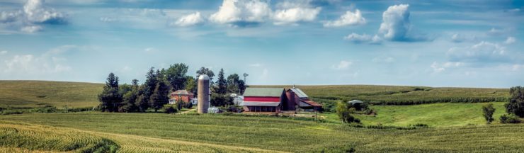 Making ethanol from corn is the least efficient use of farmland